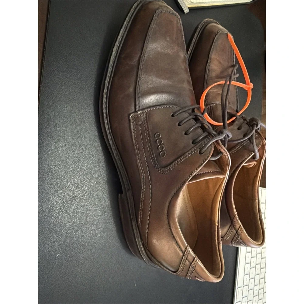 Ecco men windsor